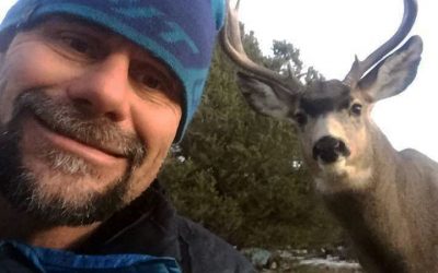 Alchemy Conference Call | Peter May